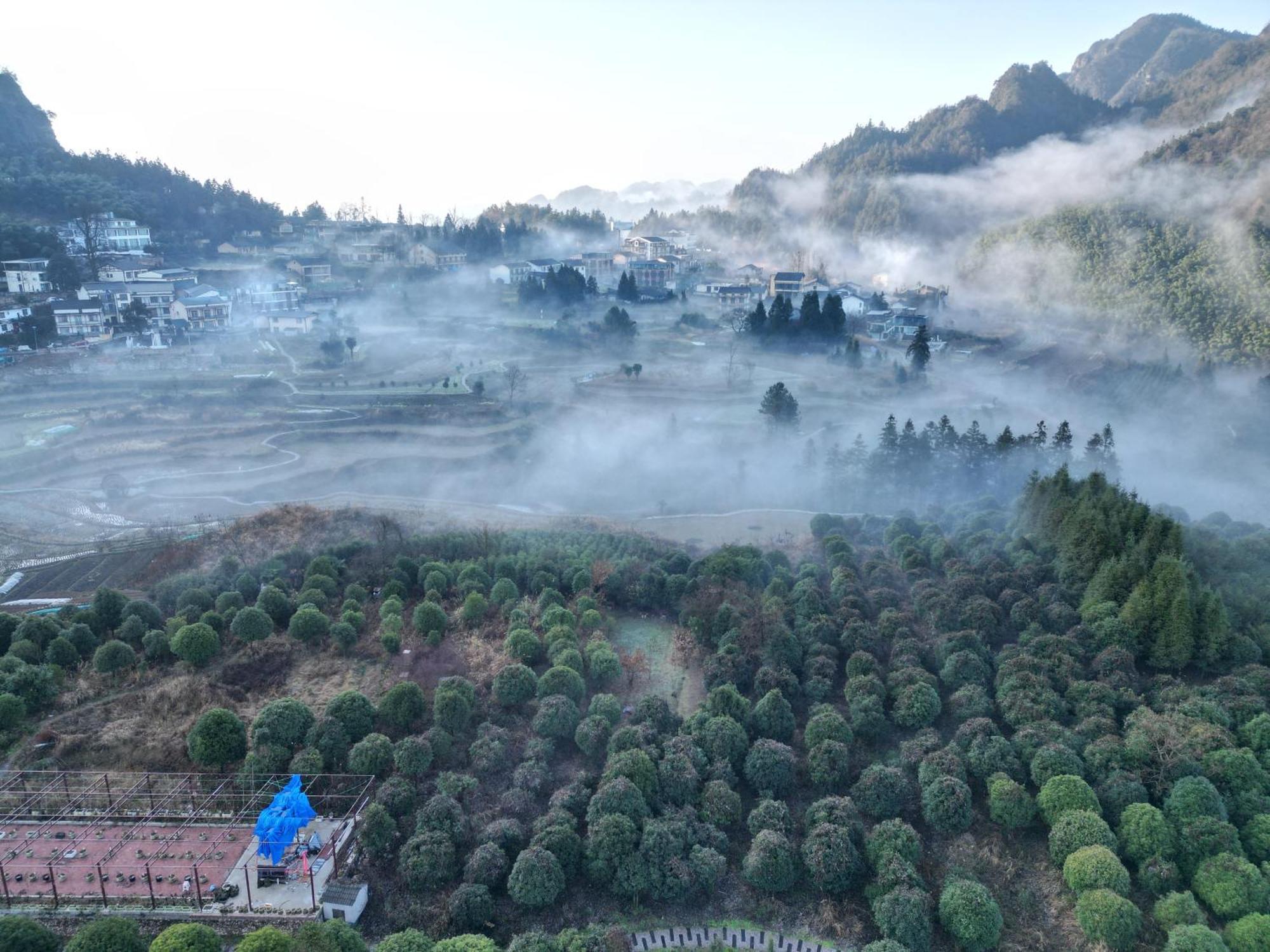 Hilltop House Resort 张家界 外观 照片