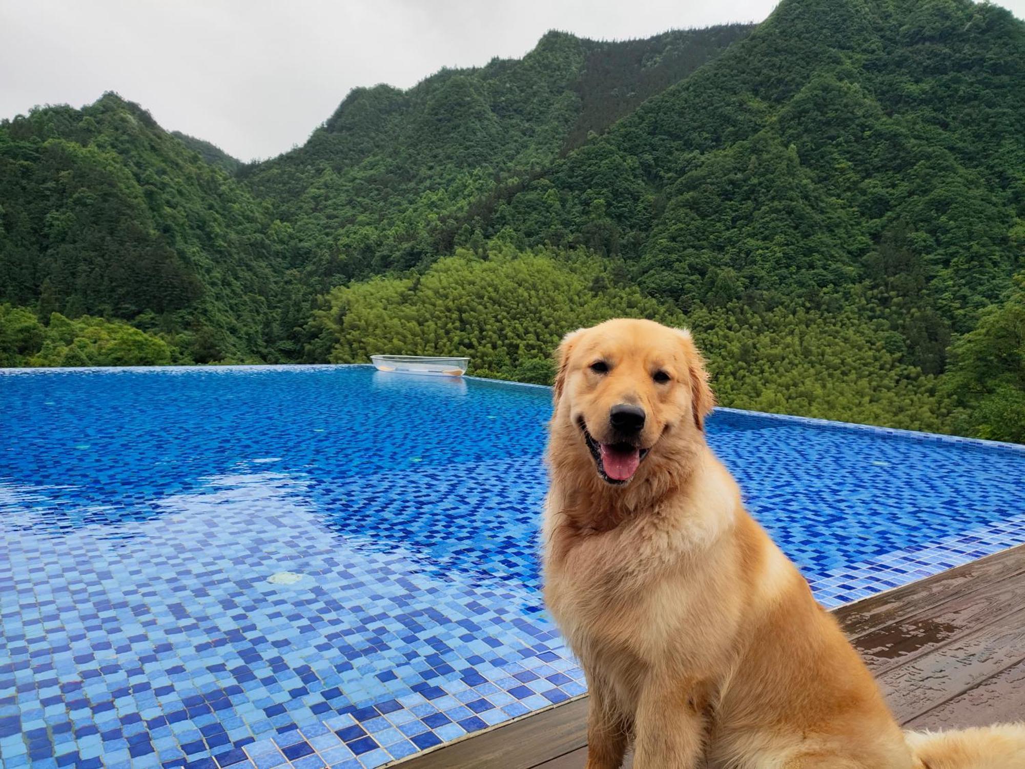 Hilltop House Resort 张家界 外观 照片